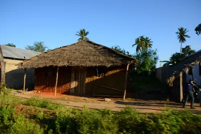 DSC_8195 (Large).JPG